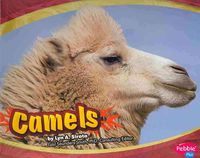 Produktbild: Camels