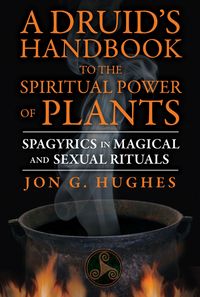 Produktbild: A Druid's Handbook to the Spiritual Power of Plants