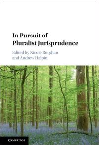 Produktbild: In Pursuit of Pluralist Jurisprudence