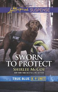 Produktbild: Sworn to Protect