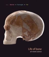 Produktbild: Life of Bone