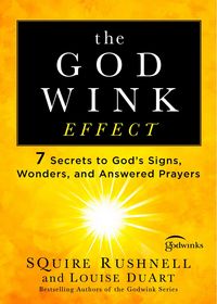 Produktbild: The Godwink Effect