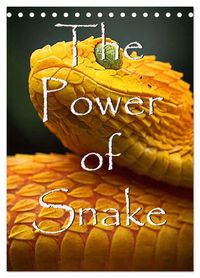 Produktbild: The Power Of Snake (Tischkalender 2027 DIN A5 hoch), CALVENDO Monatskalender