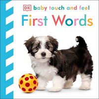 Produktbild: Baby Touch and Feel First Words