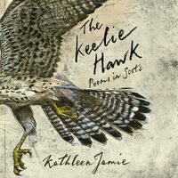 Produktbild: The Keelie Hawk