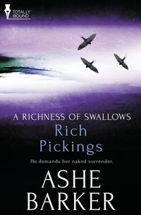 Produktbild: A Richness of Swallows