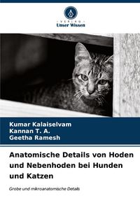 Produktbild: Anatomische Details von Hoden und Nebenhoden bei Hunden und Katzen