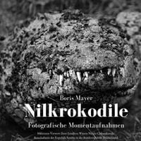 Produktbild: Nilkrokodile