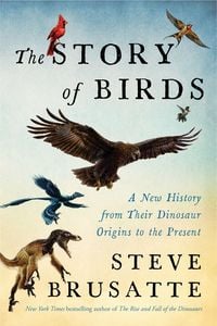 Produktbild: The Story of Birds