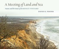 Produktbild: A Meeting of Land and Sea
