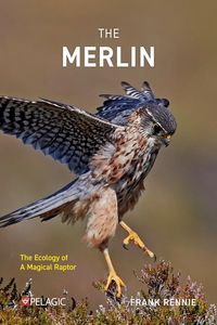 Produktbild: The Merlin