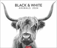 Black & White Animals 2024