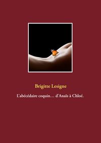 Produktbild: L'ab&eacute;c&eacute;daire coquin... d'Ana&iuml;s &agrave; Chlo&eacute;.