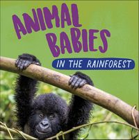 Produktbild: Animal Babies: In the Rainforest