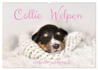 Produktbild: Collie Welpen einfach zuckers&uuml;&szlig; (Wandkalender 2026 DIN A2 quer), CALVENDO Monatskalender