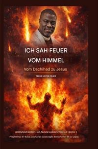 Produktbild: Ich sah Feuer vom Himmel