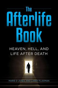 Produktbild: The Afterlife Book