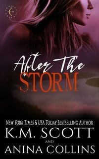 Produktbild: After the Storm