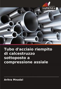 Produktbild: Tubo d'acciaio riempito di calcestruzzo sottoposto a compressione assiale
