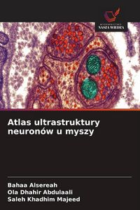 Produktbild: Atlas ultrastruktury neuron&oacute;w u myszy