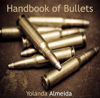 Produktbild: Handbook of Bullets