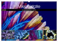 Produktbild: Mikrokristalle in polarisiertem Licht (Wandkalender 2026 DIN A2 quer), CALVENDO Monatskalender