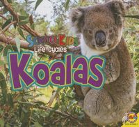 Produktbild: Koalas