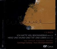 Produktbild: Rial/Lehmkuhl/Winckhler/Rademann/Gaechinger Cant.: Kantaten-