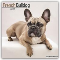 Bild vom Artikel French Bulldog - Französische Bulldoggen 2024 - 16-Monatskalender vom Autor Avonside Publishing Ltd