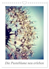 Produktbild: Die Pusteblume neu erleben (Wandkalender 2027 DIN A4 hoch), CALVENDO Monatskalender