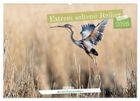Produktbild: Extrem seltene Reiher (Wandkalender 2026 DIN A2 quer), CALVENDO Monatskalender
