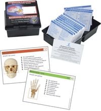 Produktbild: Anatomie Lernkarten menschliches Skelett