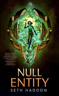 Produktbild: Null Entity