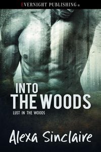 Produktbild: Into the Woods