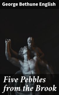 Produktbild: Five Pebbles from the Brook