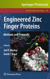 Produktbild: Engineered Zinc Finger Proteins