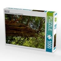 Produktbild: CALVENDO Puzzle Ein Motiv aus dem Kalender Eibenwald | 1000 Teile Lege-Gr&ouml;&szlig;e 64x48cm Foto-Puzzle f&uuml;r gl&uuml;ckliche Stunden