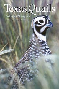 Produktbild: Texas Quails