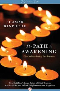 Produktbild: The Path to Awakening