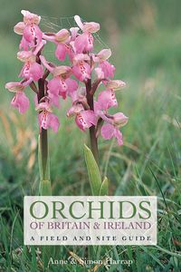 Produktbild: Orchids of Britain and Ireland
