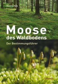 Produktbild: Moose des Waldbodens