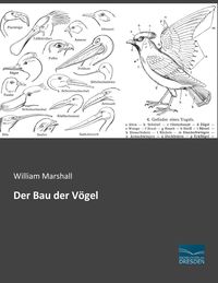 Produktbild: Der Bau der V&ouml;gel