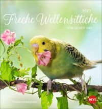 Produktbild: Freche Wellensittiche Postkartenkalender 2027
