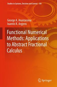 Produktbild: Functional Numerical Methods: Applications to Abstract Fractional Calculus