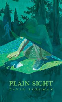 Produktbild: Plain Sight