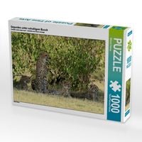 Produktbild: Geparden unter schattigem Busch (Puzzle)