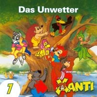 Produktbild: Das Unwetter