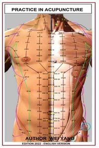 Produktbild: Practic In Acupuncture