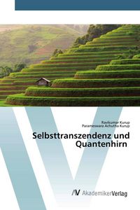Produktbild: Selbsttranszendenz und Quantenhirn
