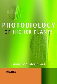 Produktbild: Photobiology of Higher Plants
